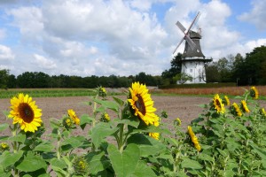 molen oberneuland bremen