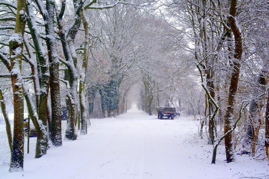 Sneeuw in Bremen in de wijk Oberneuland