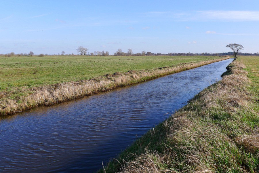 Nederlands landschap met weilanden en sloten in Bremen Oberneuland