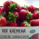 aardbeien kaemena bremen