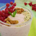 Yoghurt smoothie met aalbessen en munt, koolhydraatarm recept - koolhydraatarm genieten begint bij Con-serveert.nl